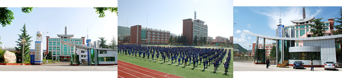 8951be0dfb86d116a1306ef866667820.jpg
